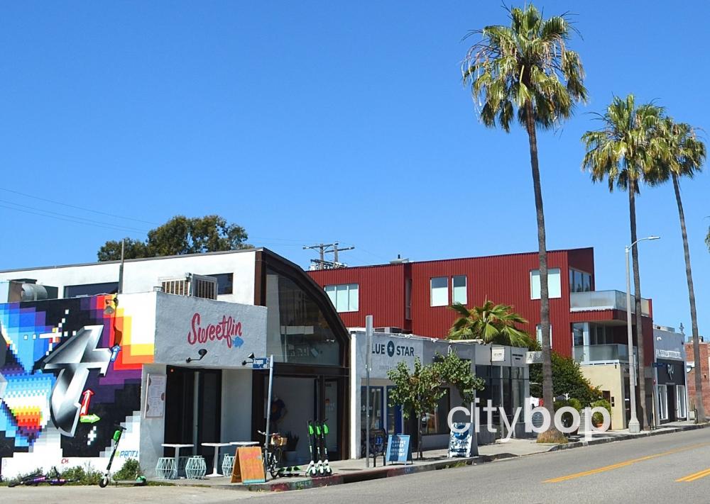 Abbot Kinney: #1 Guide