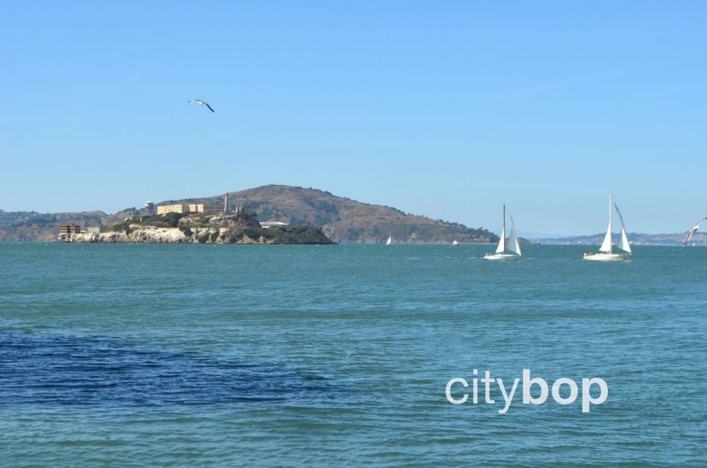 Alcatraz Island views from Pier 39