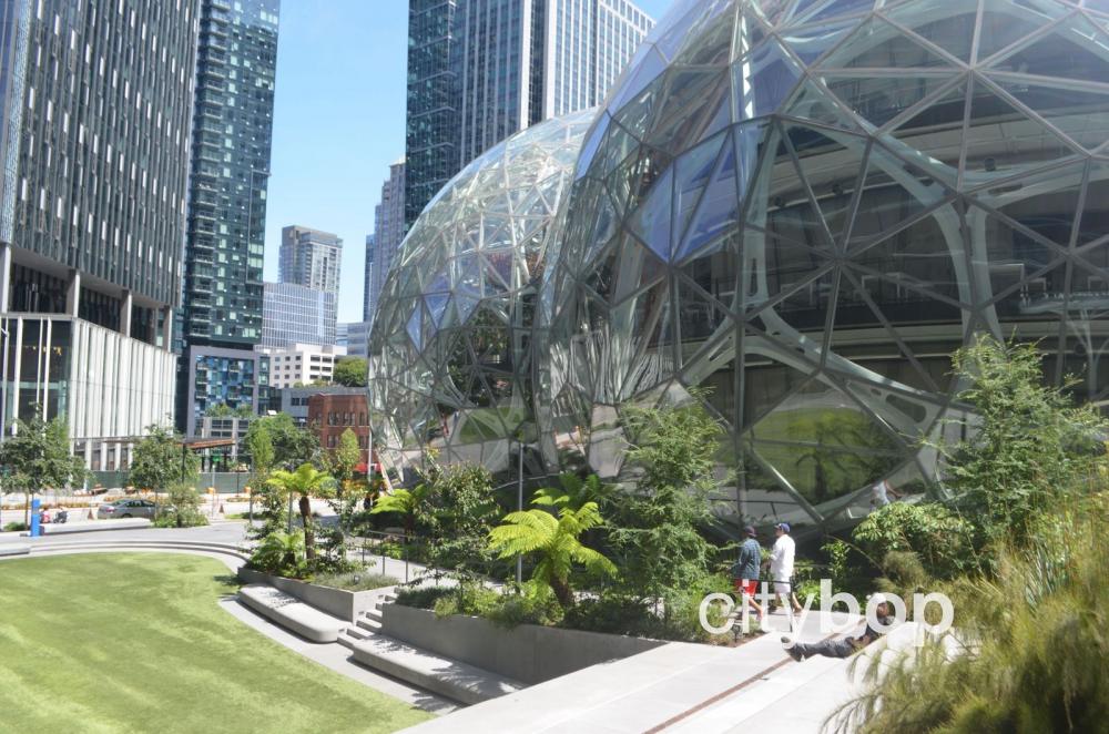 10 Best Things About The Amazon Spheres Citybop