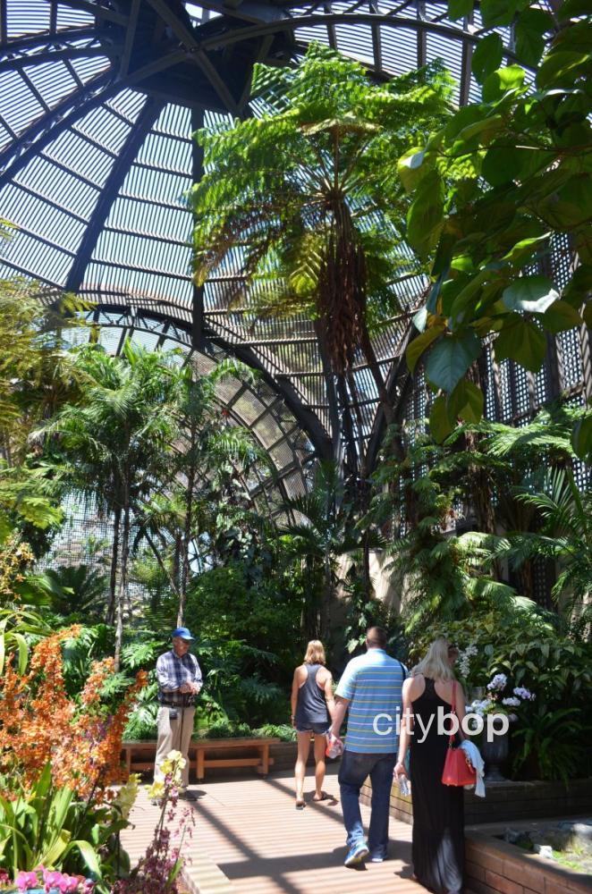 10 BEST Attractions at Balboa Park Botanical Building