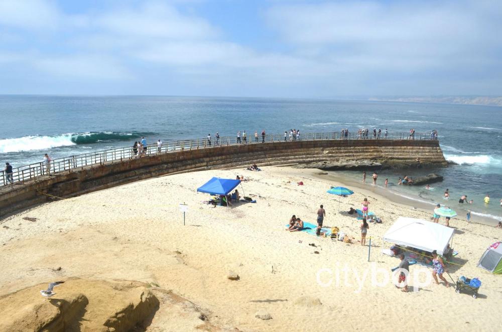 Children's Pool Beach San Diego: 5 BEST Things to Do