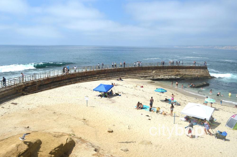 Children's Pool Beach in La Jolla - History, Seals, How to Visit