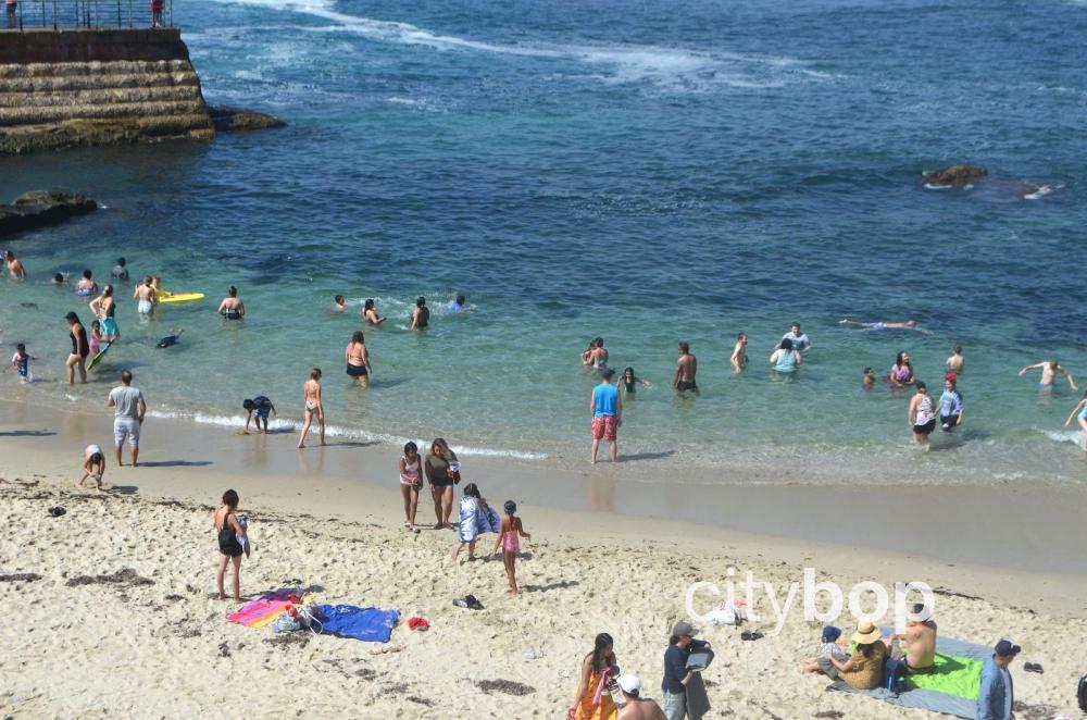 Children's Pool in La Jolla