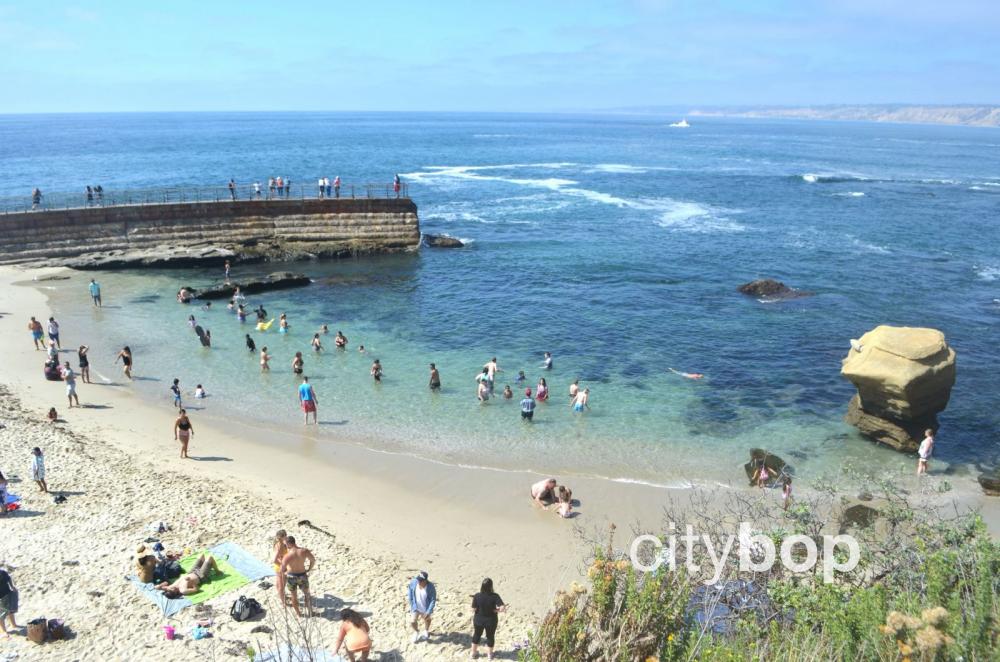 5 BEST Attractions at Children's Pool Beach San Diego 