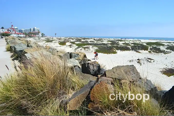 Coronado Beach San Diego