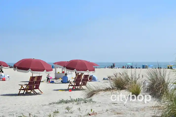 Coronado Beach