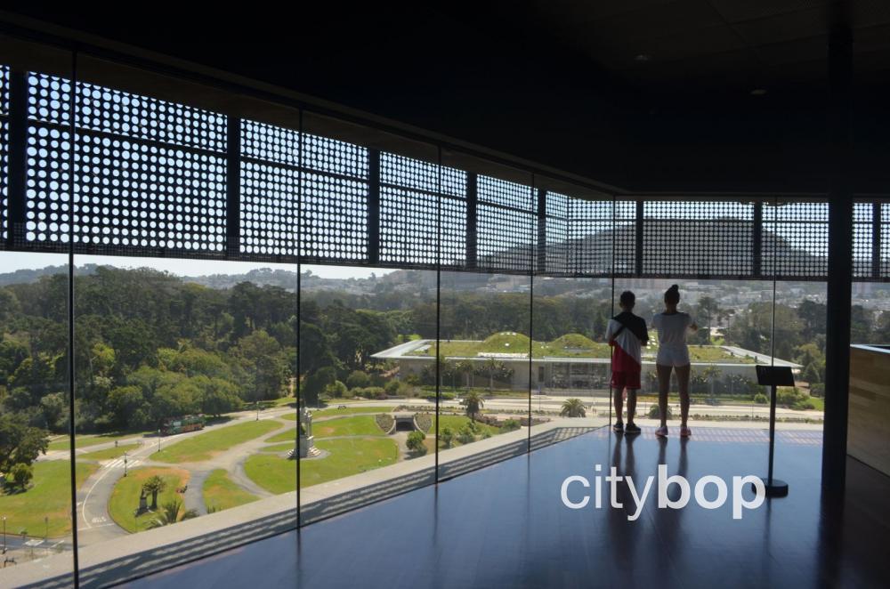 San Francisco best views from Hamon Observation Tower