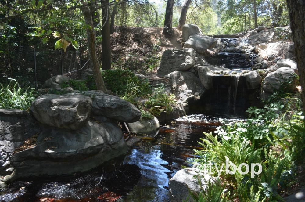 Descanso Gardens Mulberry Pond