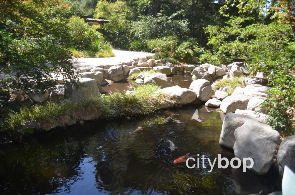 Descanso Gardens Waterfall