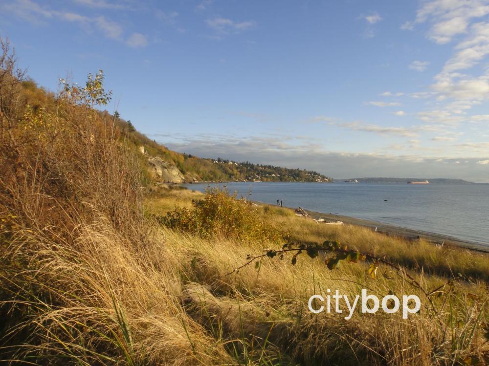 Discovery Park Seattle Best Things To Do Citybop