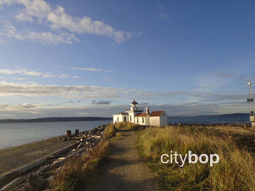 things to do in discovery park seattle