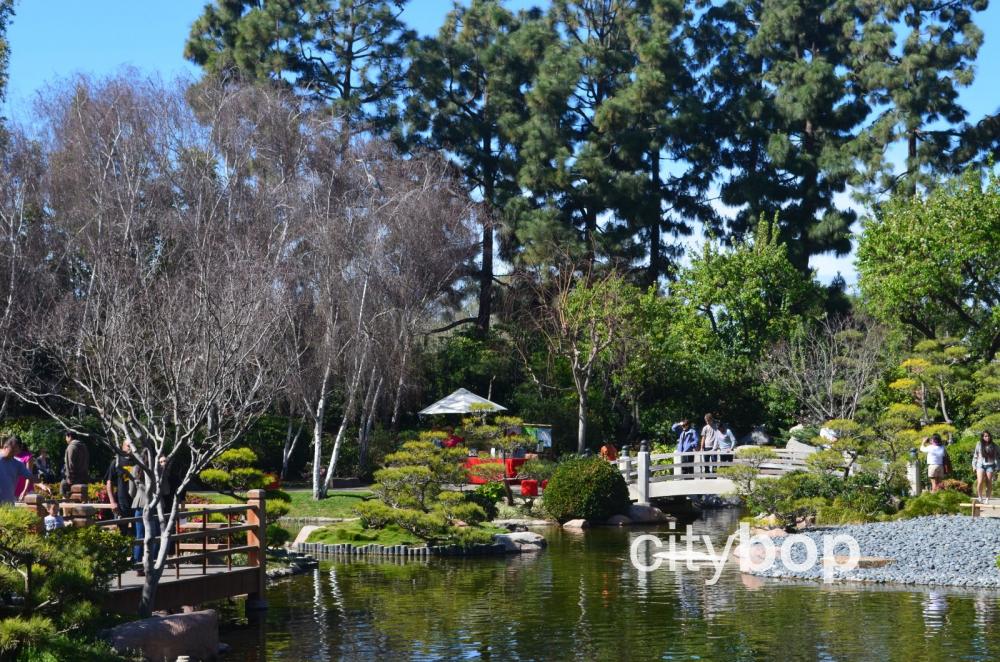 earl burns miller japanese garden long beach