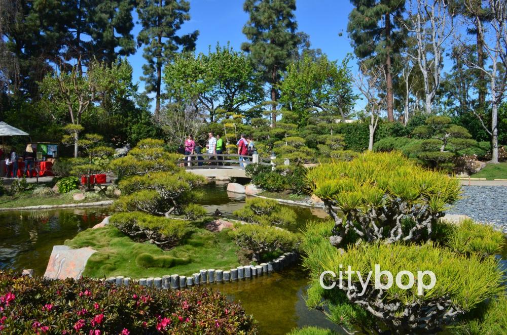 Earl Burns Miller Japanese Garden: BEST Attractions