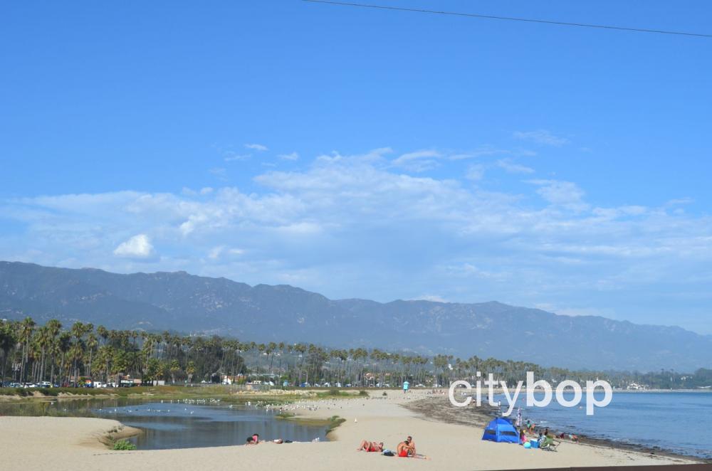 are dogs allowed on santa barbara beaches