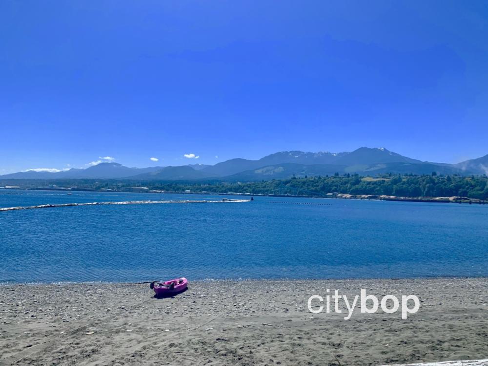 5 BEST Things To Do At Ediz Hook