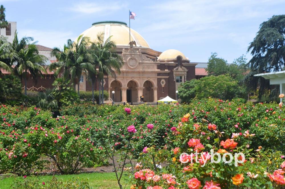 Exposition Park: 10 BEST Things to Do