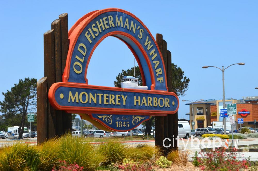 10 BEST Attractions at Fishermans Wharf Monterey