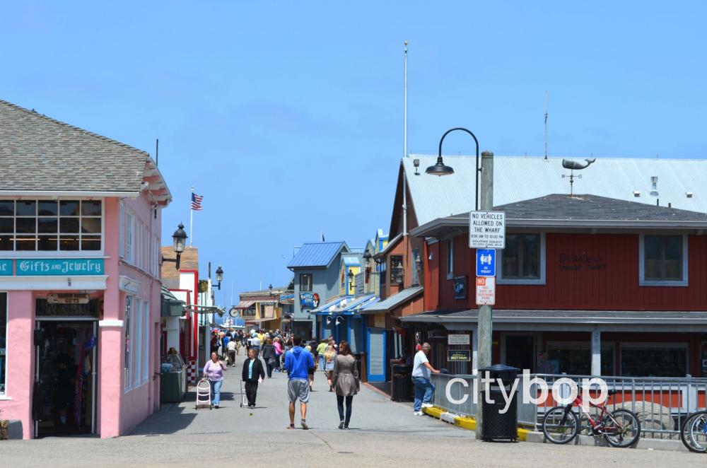 10 BEST Attractions at Fishermans Wharf Monterey