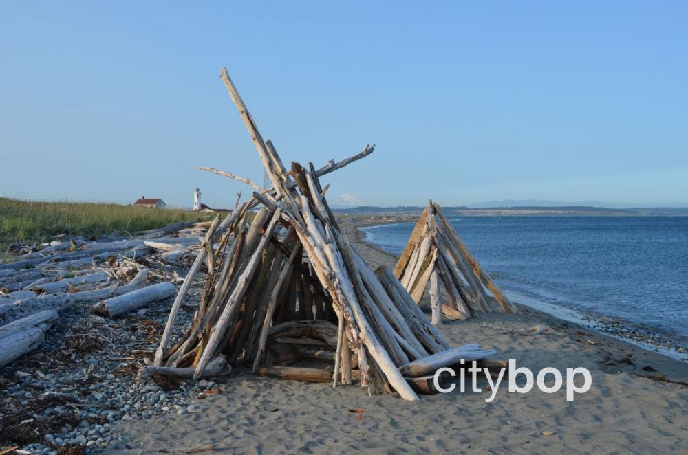 Driftwood on beach at Fort Worden.