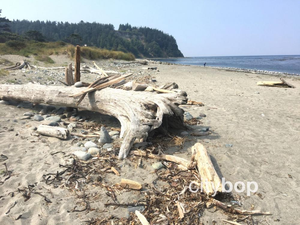 Beach at Fort Worden with Artillery Hill behind it.