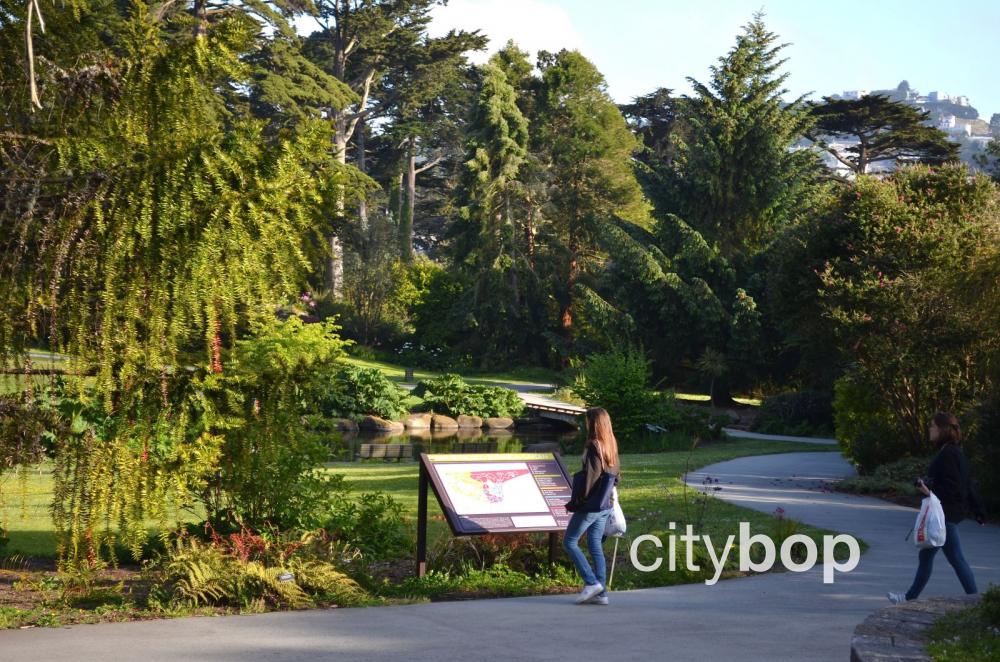 Golden Gate Park San Francisco Botanic Gardens