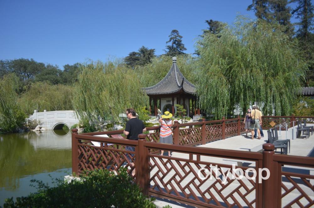 Huntington Library lake