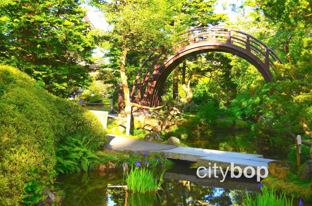 Arched drum bridge at San Francisco Japanese Tea Garden