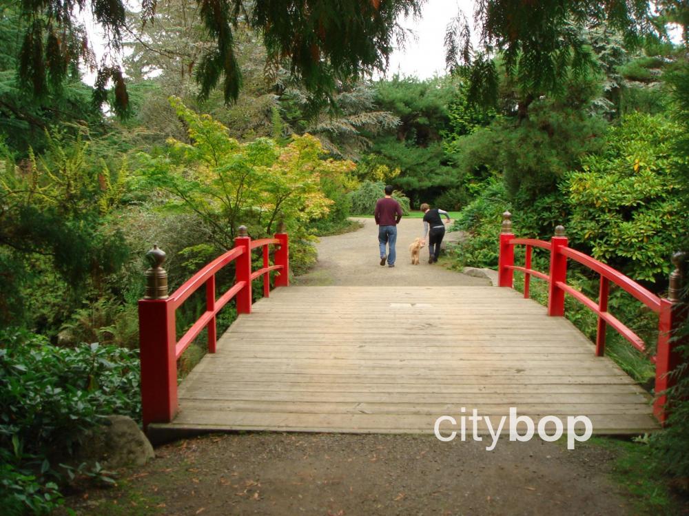 are dogs allowed in kubota gardens