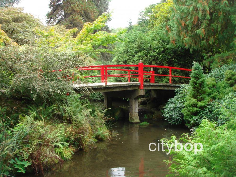 are dogs allowed in kubota gardens