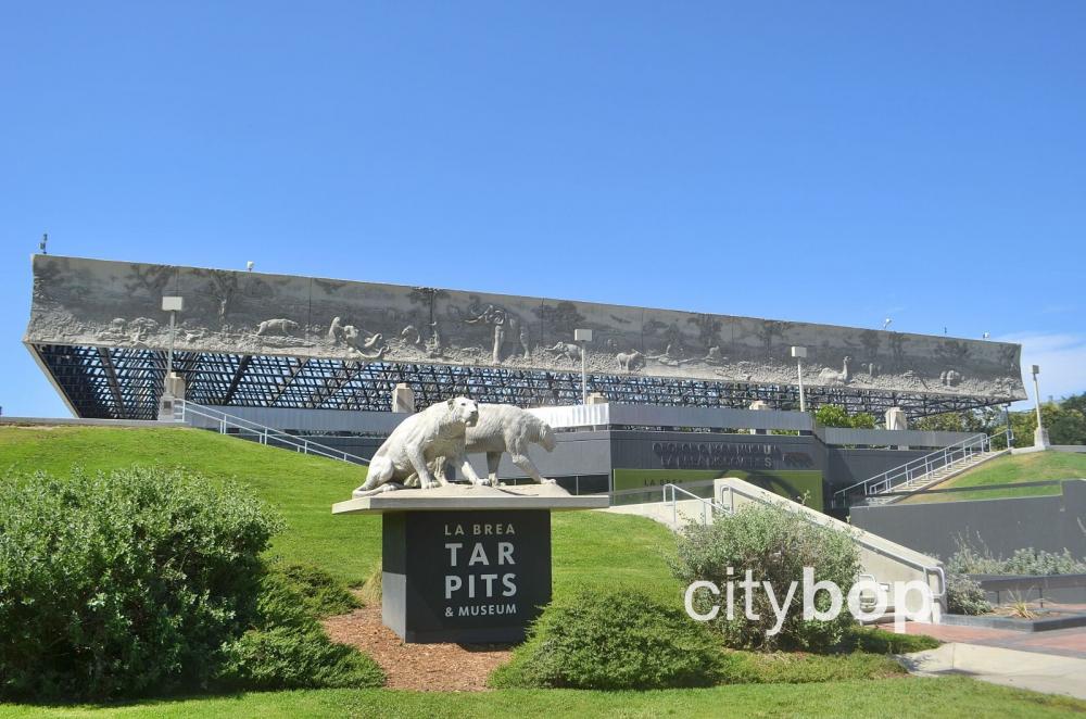 La Brea Tar Pits: 5 BEST Things to Do