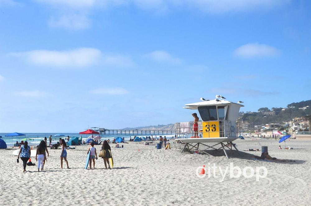 10 BEST Attractions at La Jolla Shores Beach