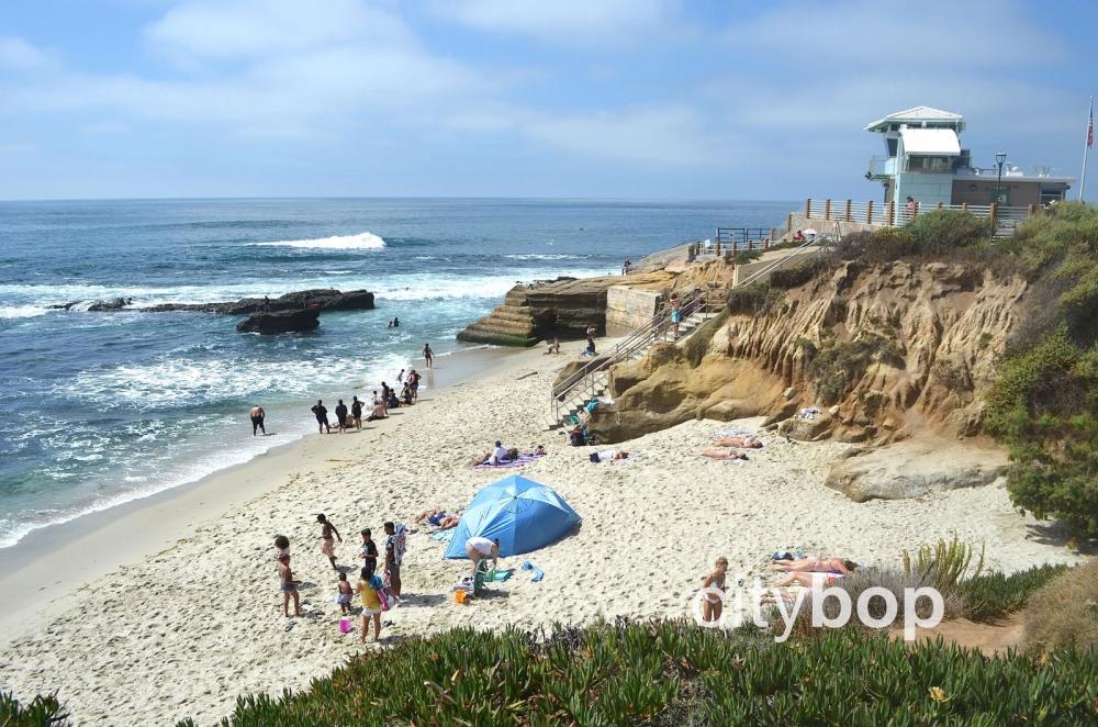 What to do in La Jolla