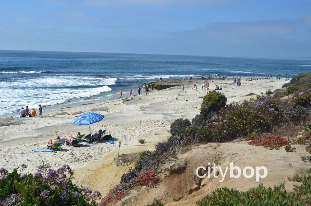 Things to do in La Jolla