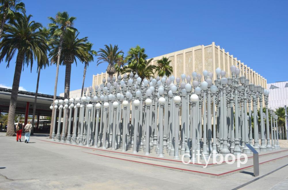 lacma self guided tour