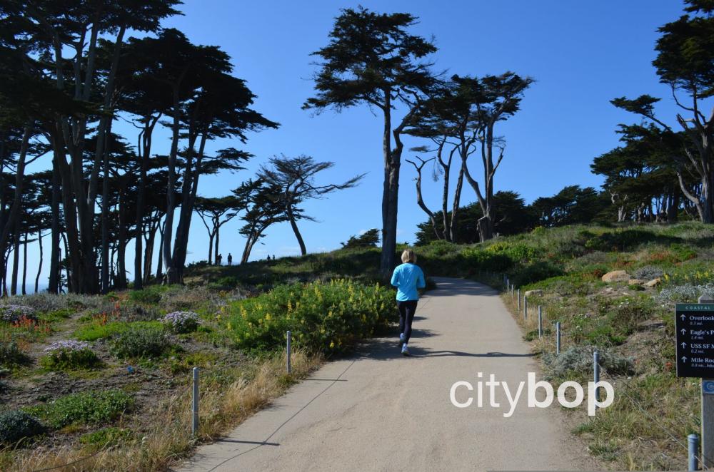 BEST Attractions at Lands End Trail in San Francisco