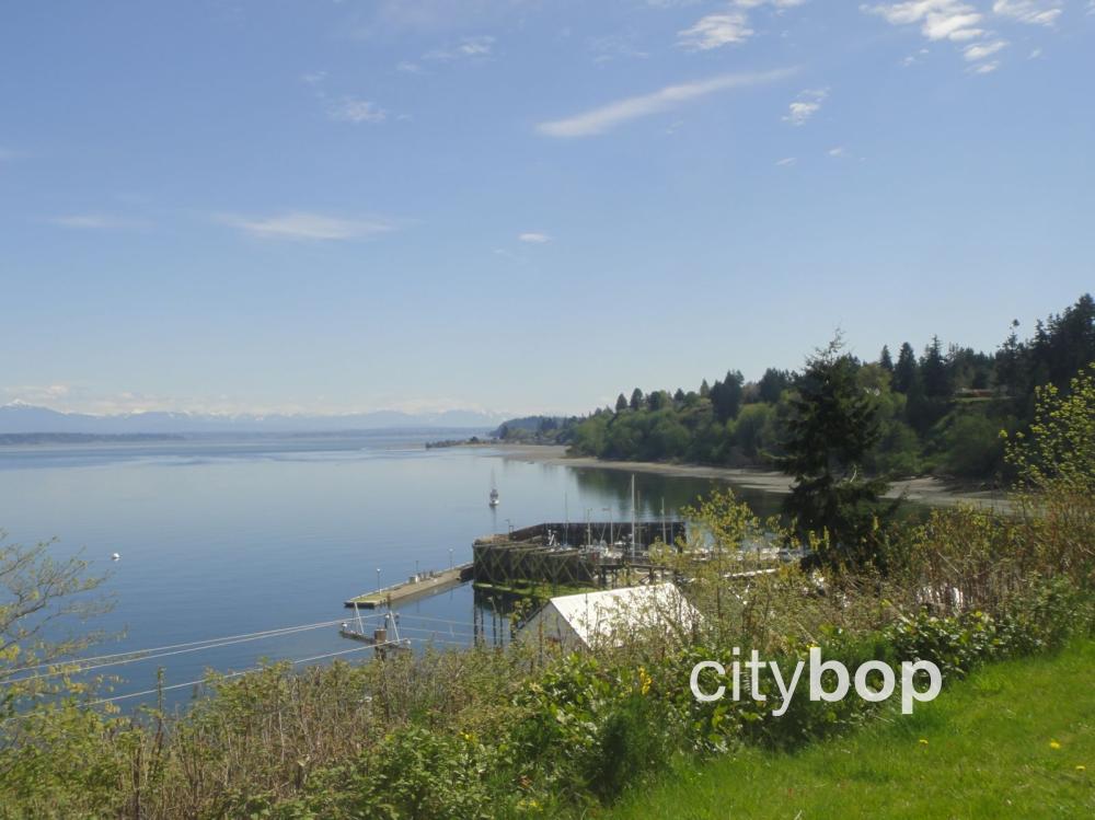 10 BEST Things to Do in Langley WA