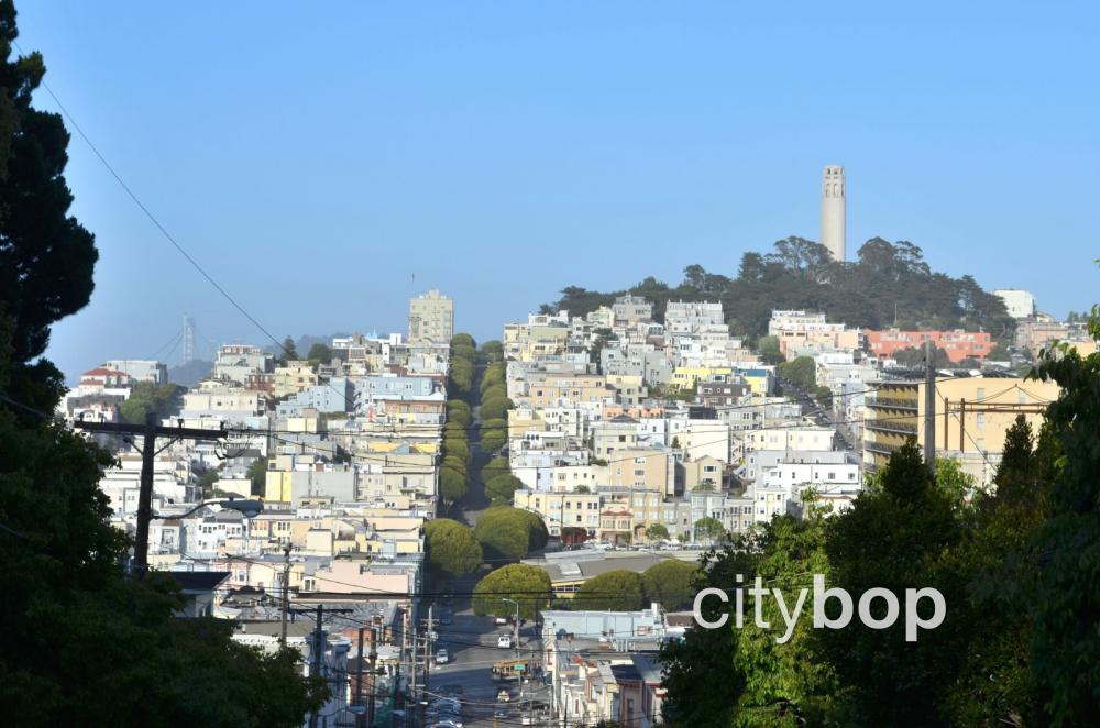 View of Telegraph Hill from Lombard Street