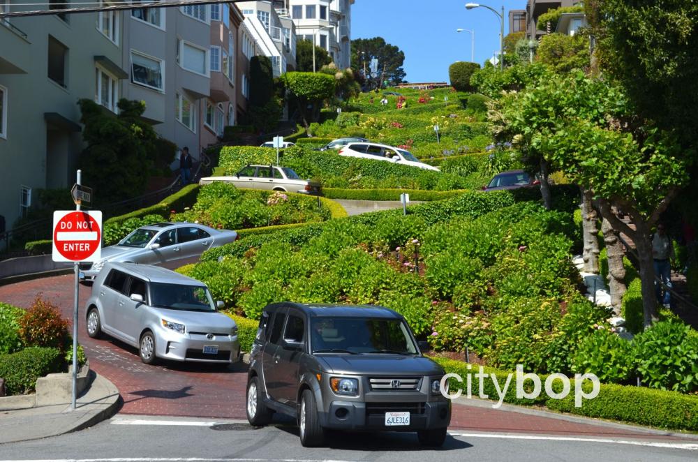 Crooked Street San Francisco