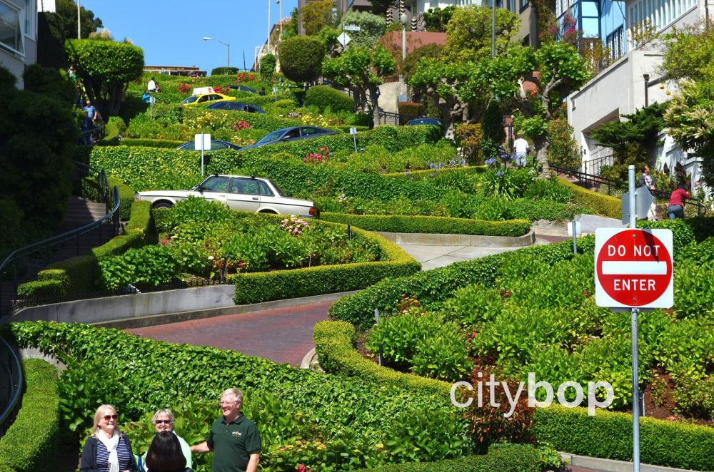 Driving down Lombard Street San Francisco