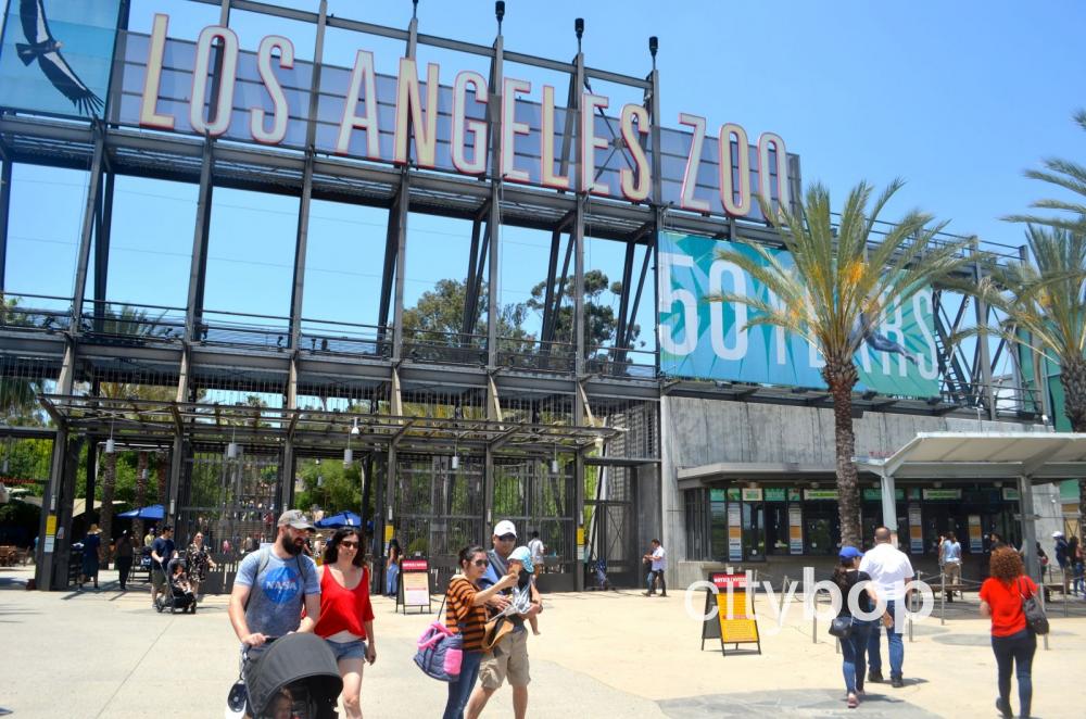 LA Zoo: 5 BEST Things to Do