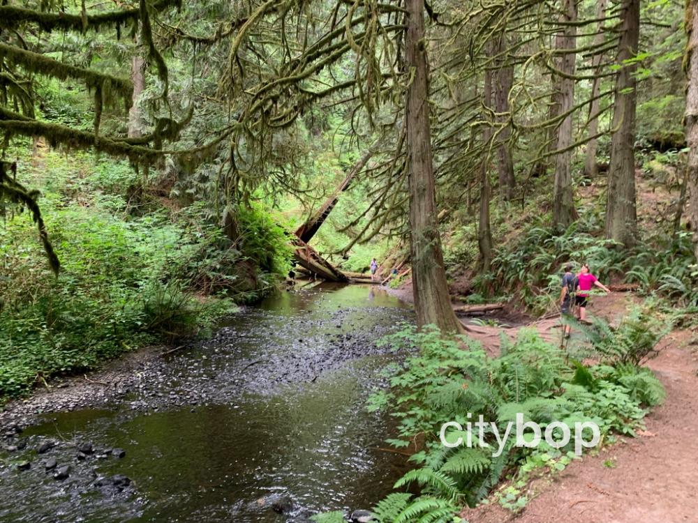 Ludlow Falls Citybop Ludlow Falls Citybop