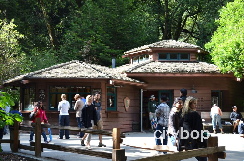 The Muir Woods Visitor Center