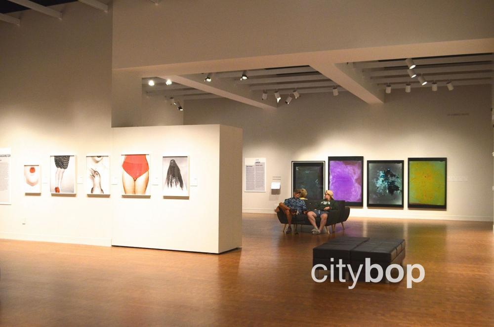 #1 GUIDE to Museum of Photographic Arts