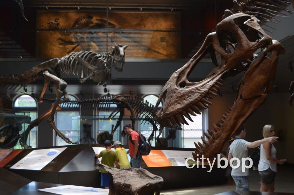 Natural History Museum Los Angeles: Best Exhibits
