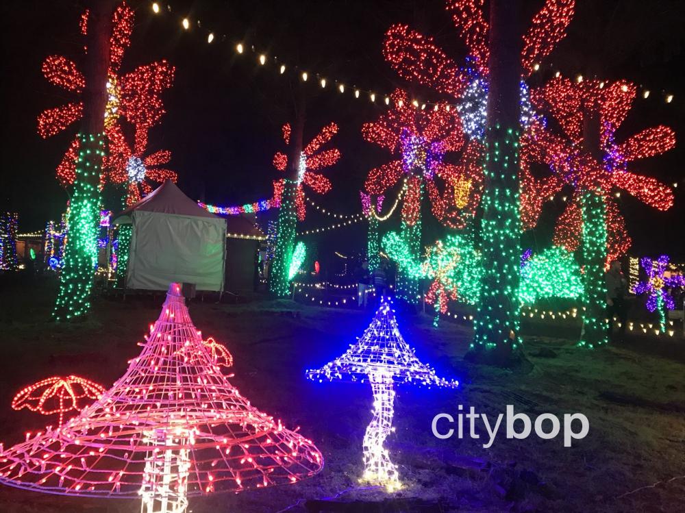 10 Best Things To Do At Oregon Garden Lights