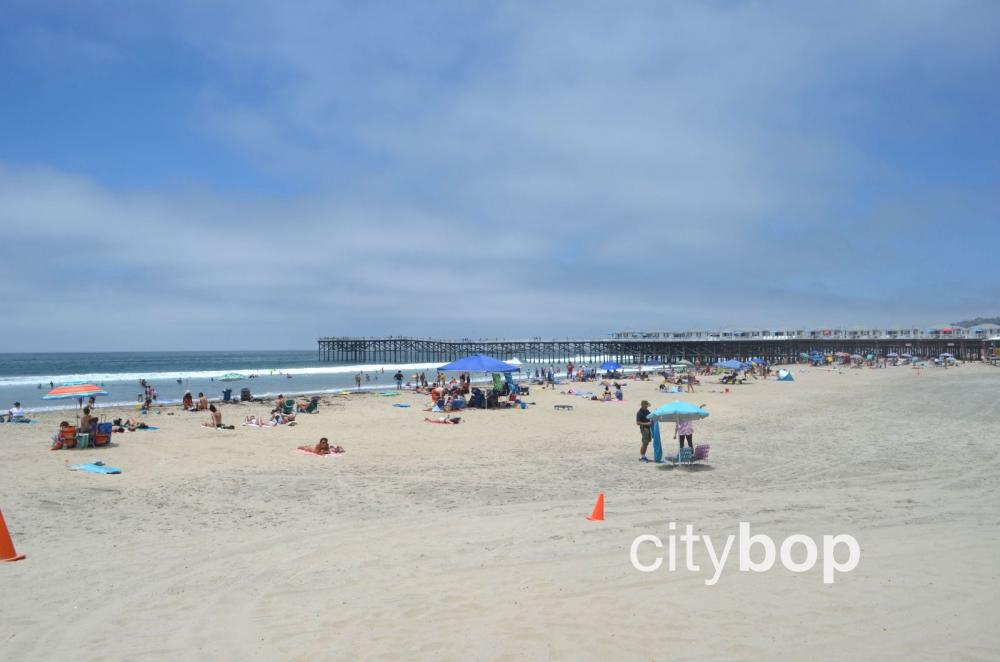#1 GUIDE to Pacific Beach San Diego CA