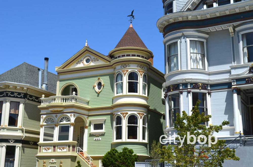 #1 Guide to Painted Ladies