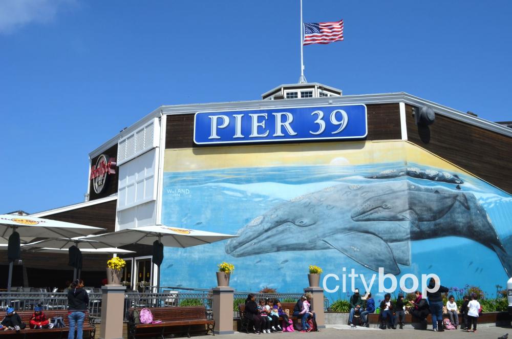 #1 Guide to Pier 39