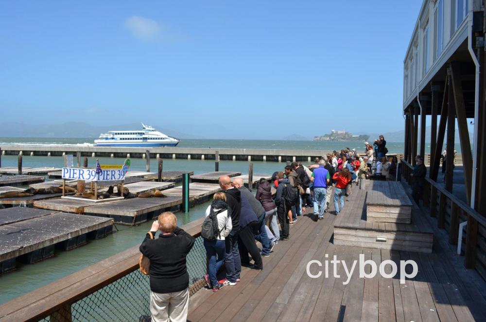 Tourists at Pier 39 watching sea lions