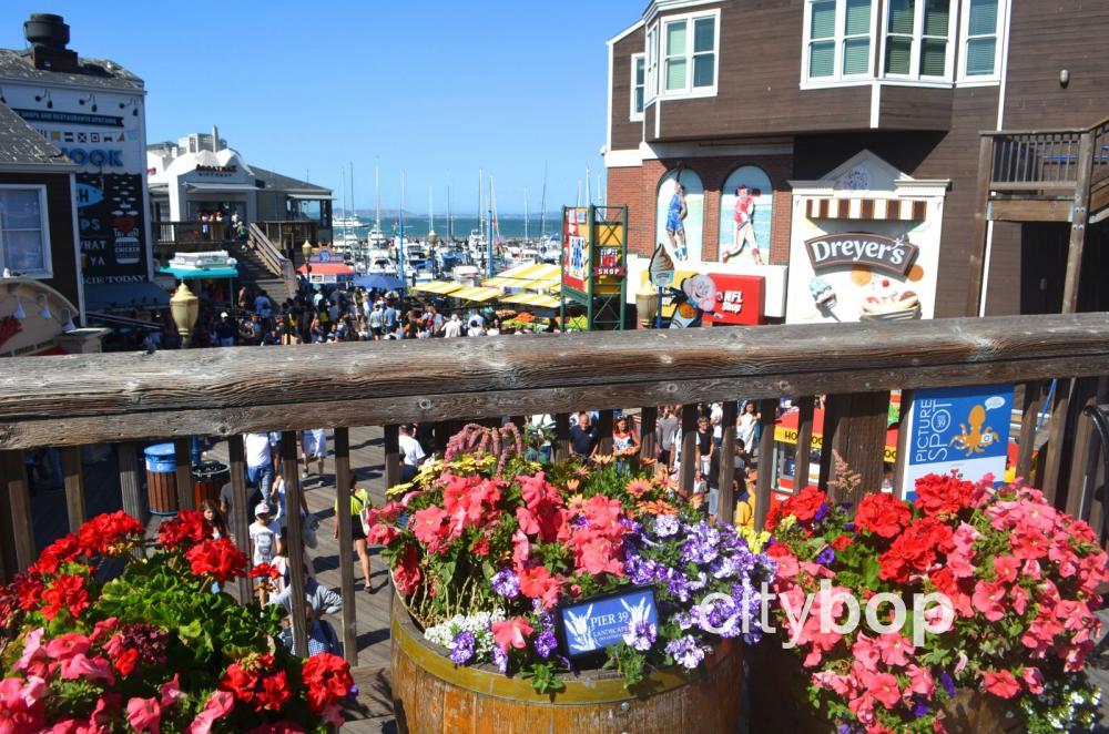 BEST things to do Pier 39